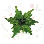86654024_Flor Navideña 27cm-10 Pétalos Verde_YM22-78-GREEN