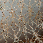 Cinta Malla Escarchada De 29Cms X 10Yds